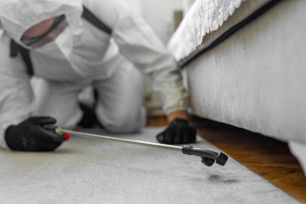 Professional Bed Bug Control technician working in Grizzly Flats, CA