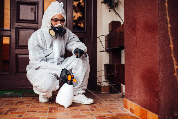 Reliable Bed Bug Control contractor in Grizzly Flats, CA by Nex Pest Control