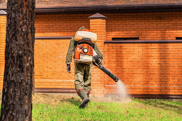 Trusted Bed Bug Control service in Grizzly Flats, CA - Nex Pest Control
